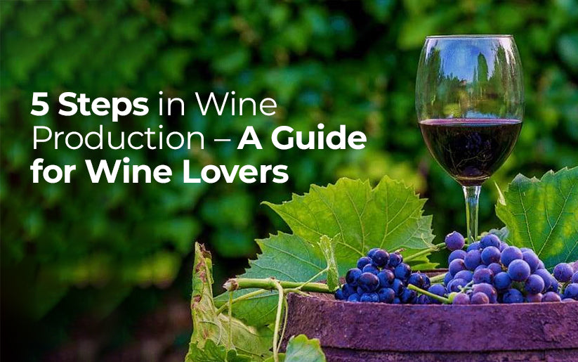 5 Steps in Wine Production – A Guide for Wine Lovers