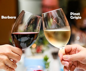 barbera and pinot grigio wines