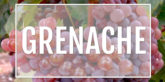 Grenache wines