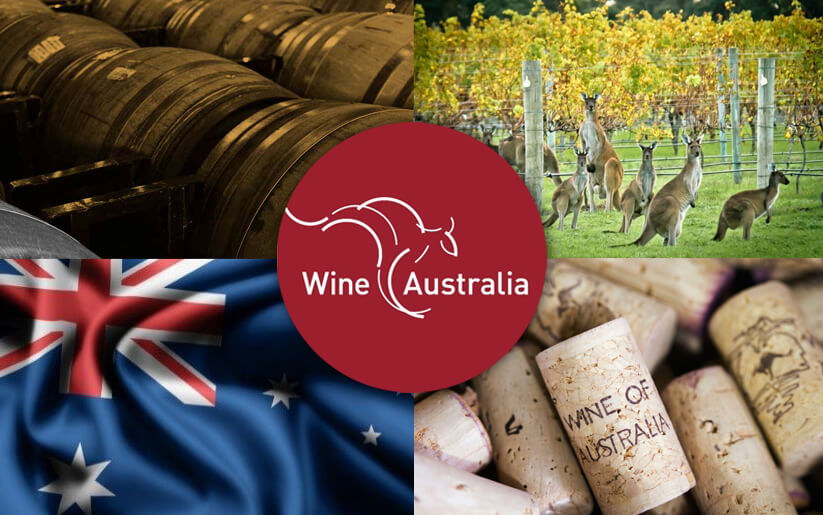 Aussie wine exports