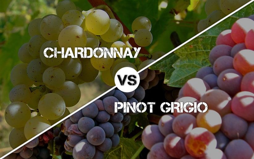Chardonnay vs Pinot Grigio Wines