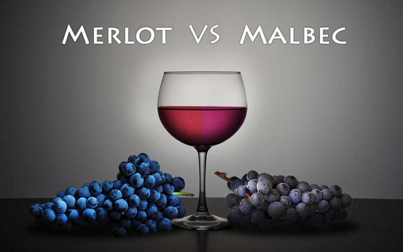 Merlot vs Malbec Wines