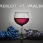 Merlot vs Malbec Wines