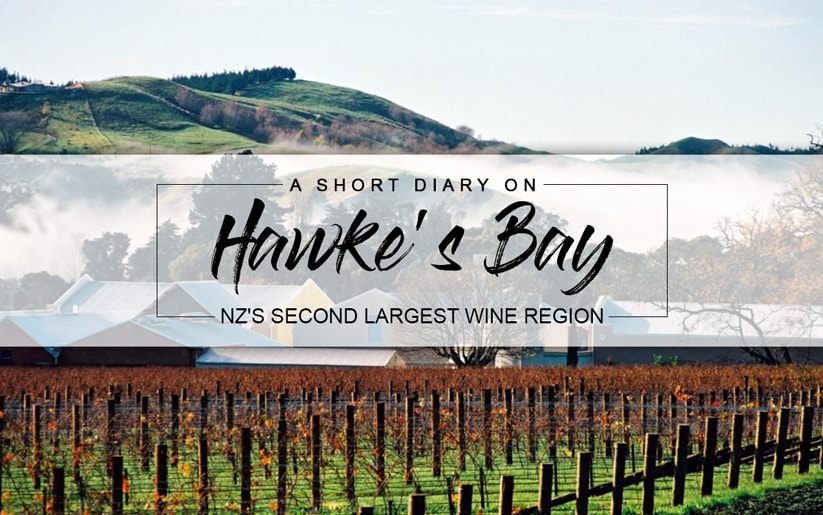 Hawke's Bay Wine Region