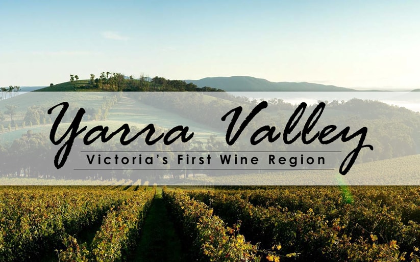 Yarra Valley Wine Region: A Wine Lover’s Paradise | All About