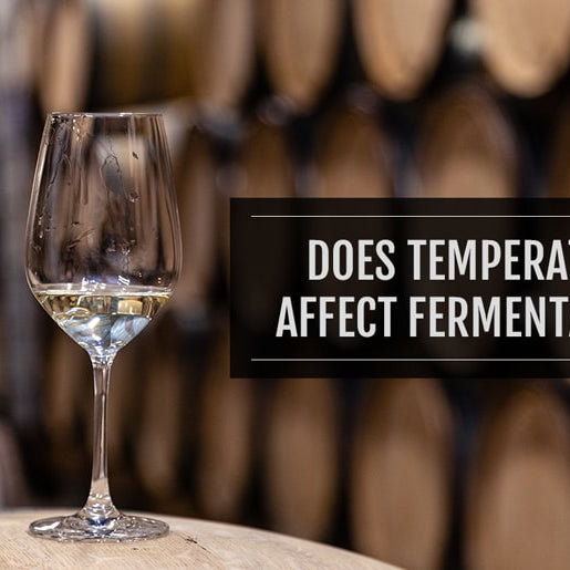 Cold Fermentation in Wine Decoded