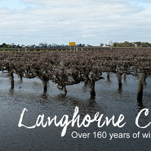 Langhorne Creek: Over 160 Years of Winemaking