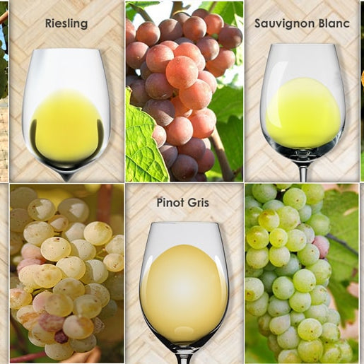 Regions That Produce The Top 5 White Varietals