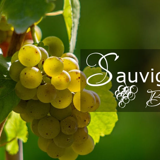 Wine Facts – Sauvignon Blanc