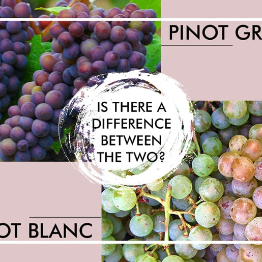 Pinot Blanc vs Pinot Gris
