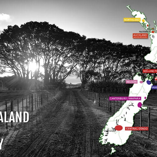 New Zealand Wine History