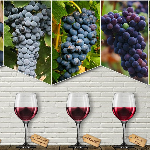 Red Wine Regions