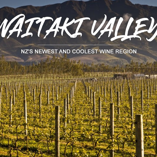 Waitaki Valley: Visit the Highest Wine Region in NZ