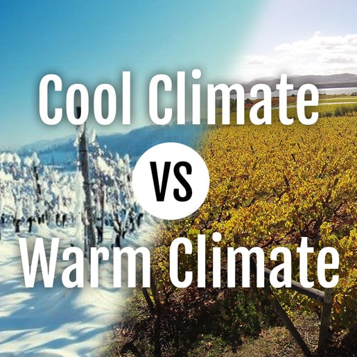 Cool Climate vs Warm Climate Wines