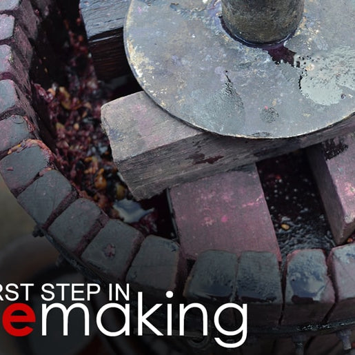 First Step in Winemaking