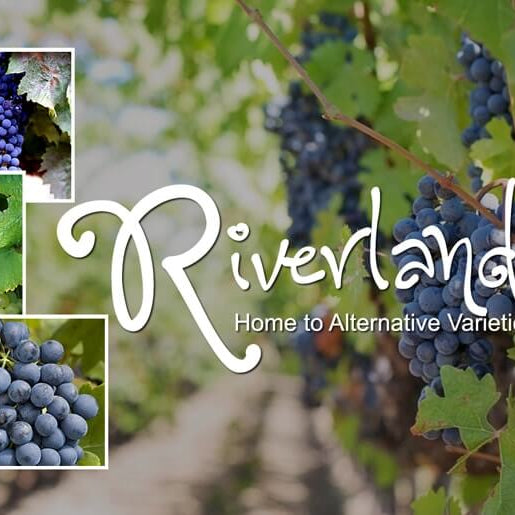 Riverland: Home to Alternative Varieties