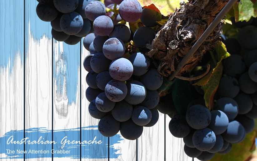 What Is Grenache Wine?