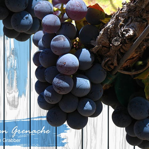 Australian Grenache Wines