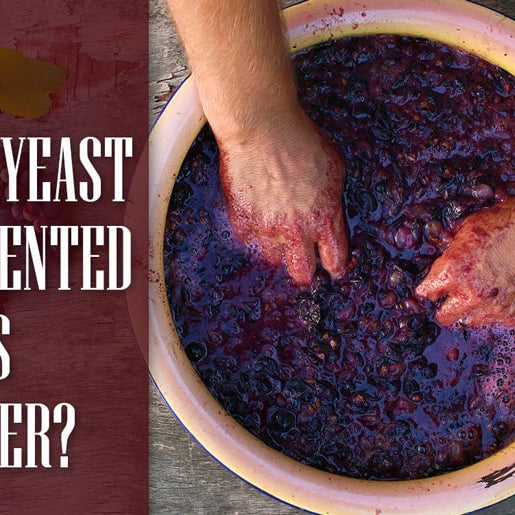 Wild Vs Commercial Wine Yeast
