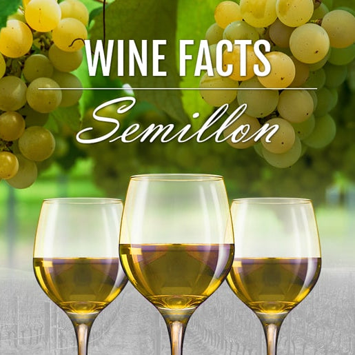 Wine Facts – Semillon
