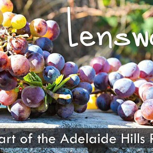 Lenswood: The Heart of the Adelaide Hills Wine Region
