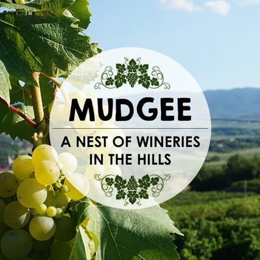 Mudgee: A Nest of Wineries in the Hills