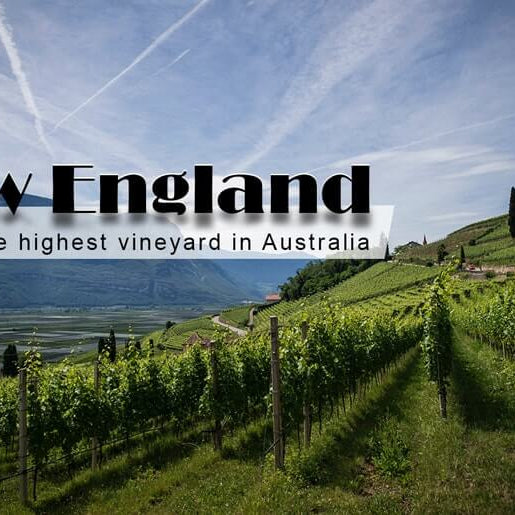 New England: Trek to the Highest Vineyard in Australia