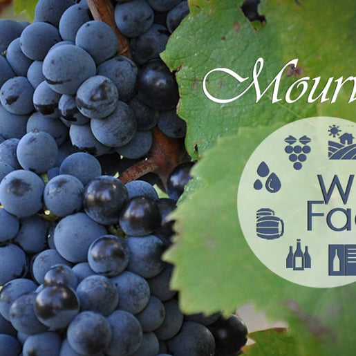 Mourvedre Wine Facts