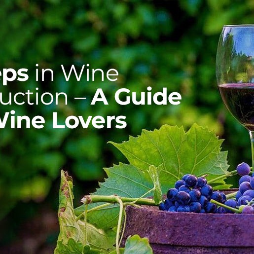 5 Steps in Wine Production – A Guide for Wine Lovers