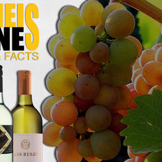 Arnies-Wines