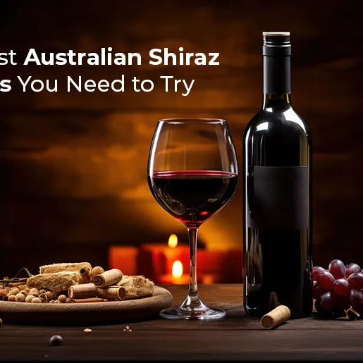 10 Best Australian Shiraz Wines You Need to Try in 2026