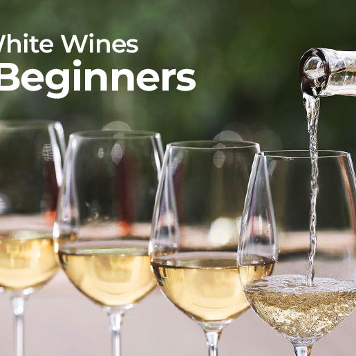 Best White Wines For Beginners