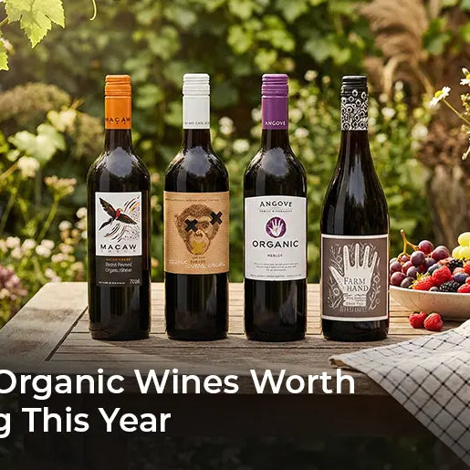 8 Best Organic Wines Worth Trying This Year