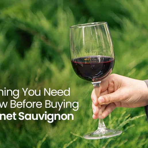 Cabernet Sauvignon: Everything You Need to Know Before Buying