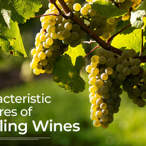 features of Riesling Wines