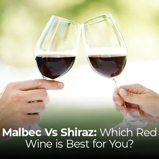Malbec Vs Shiraz: Which Red Wine is Best for You?