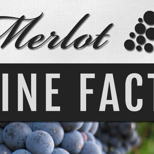 best merlot wines