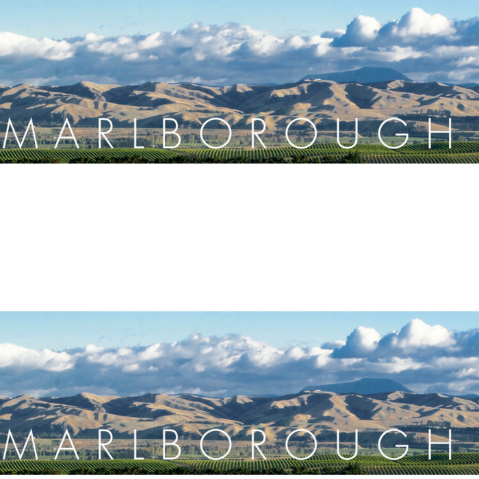 New Zealand Marlborough Wines