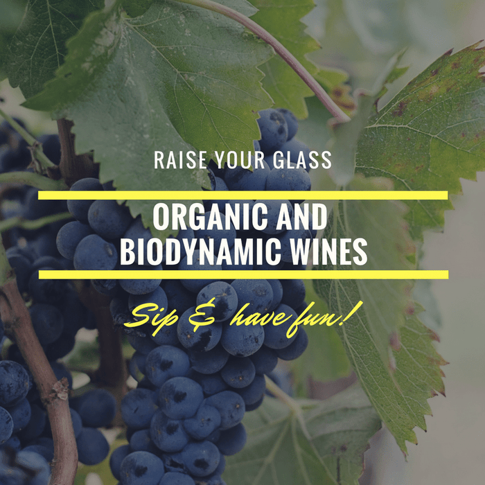 organic and biodynamic wines
