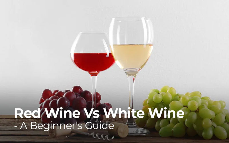 Red Wine vs. White Wine: A Simple Guide for Beginners