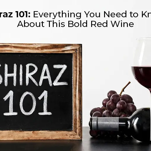 What is Shiraz: Everything You Need to Know About This Bold Red Wine