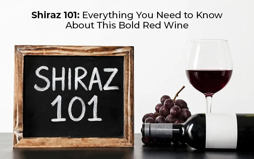 Shiraz 101: Everything You Need to Know About This Bold Red Wine