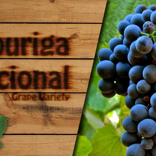 Touriga Nacional Grapes