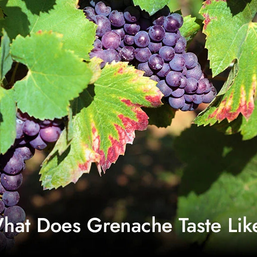 What Does Grenache Taste Like?