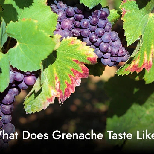 What Does Grenache Taste Like?