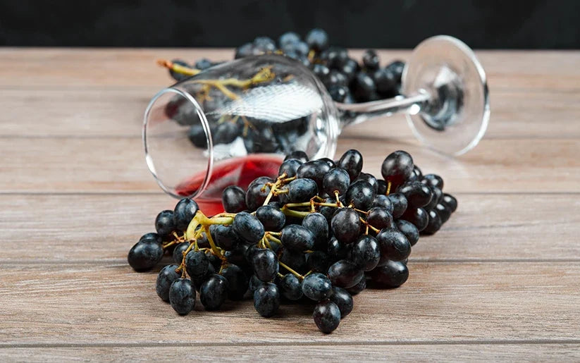 What Is Tempranillo Wine? Taste, Regions and Food Pairings
