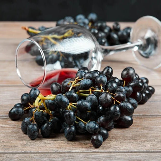 What Is Tempranillo Wine? Taste, Regions and Food Pairings