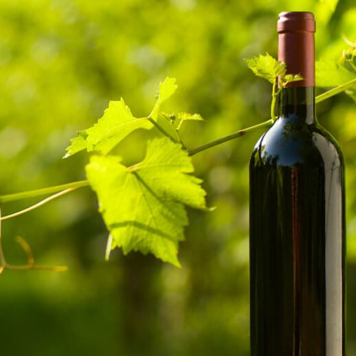 Wine-organic