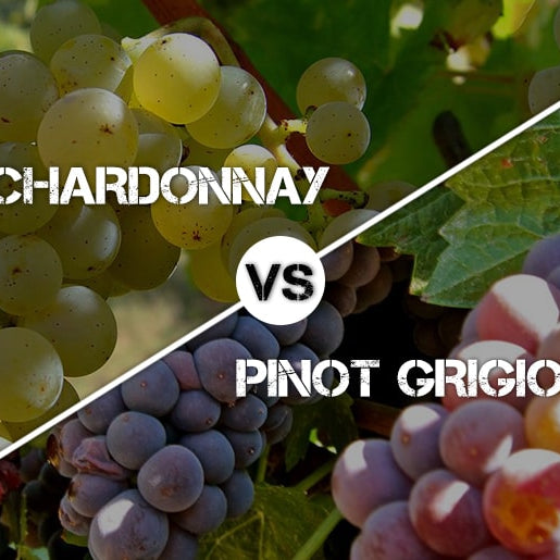 Chardonnay vs Pinot Grigio Wines