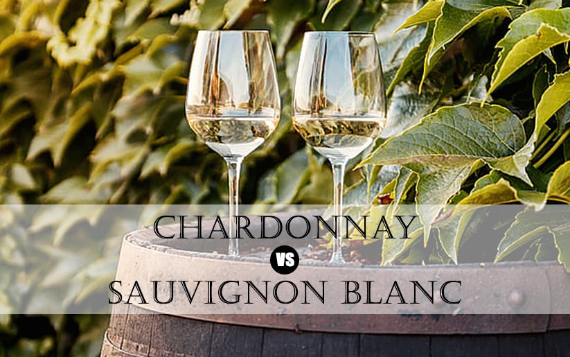 Chardonnay vs Sauvignon Blanc: Which White Wine Should You Choose?